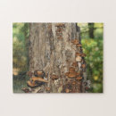 Recherche de tronc puzzles Sauvage