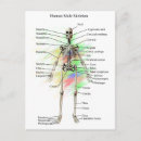 Recherche de squelettique cartes postales Anatomie