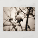 Recherche de poudre cartes postales Neige