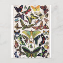 Recherche de vintage moth illustration posters Papillon