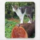 Recherche de attention tapis souris Chat