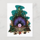 Recherche de palourdes cartes postales Coquillage