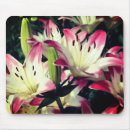 Recherche de lilly tapis souris Lis