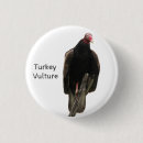 Recherche de vautour badges Buzzard