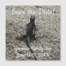 Recherche de serpent noir cartes postales Animaux