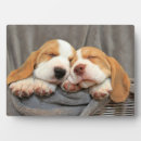 Recherche de le chiot plaques Animaux domestiques