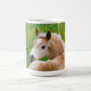 Recherche de poulains mignons tasses Poney