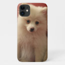 Zoek naar pomeranian hond iphone hoesjes Pommern