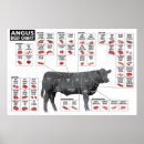 Recherche de viande de boeuf posters Coupures