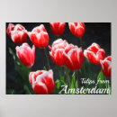 Zoek naar tulpen posters Lente
