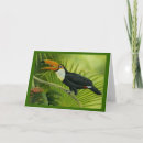 Recherche de oiseau noir et blanc vœux cartes Oiseaux