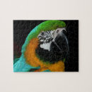 Recherche de perroquets sauvages puzzles Animaux