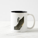 Recherche de pivert tasses Oiseaux