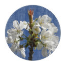 Recherche de printemps planches à découper Fleurs de printemps