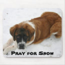 Recherche de st bernard tapis souris Dog