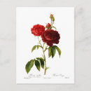 Recherche de peinture rose cartes postales Rouge