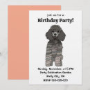 Recherche de caniche invitations Chiot