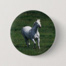 Recherche de jument badges Pur sang