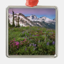 Recherche de shuksan Alpin