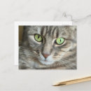 Recherche de yeux verts cartes postales Portrait de chat