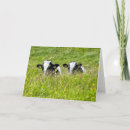 Recherche de vache holstein vœux cartes Vaches