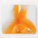 Recherche de poissons tapis souris Orange