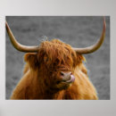 Zoek naar landelijke posters Hut