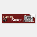 Recherche de chien boxeur voiture autocollants Animal familier