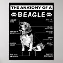 Recherche de anatomie chien posters Propriétaire de chien