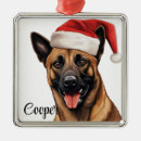 Recherche de malinois ornements Noël