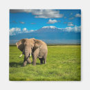 Recherche de parc national de kruger magnets Paysage