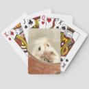 Recherche de hamster jeux de cartes Drôle