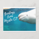 Recherche de beluga cartes postales Aquarium