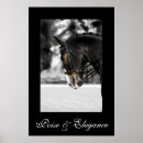 Recherche de cheval dressage posters Équitation