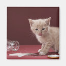 Recherche de nourriture magnets Bouteille