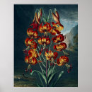 Recherche de superbe art Nature