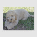 Recherche de chiot drôle magnets Mignon
