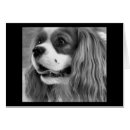 Zoek naar chien Canine