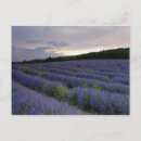 Recherche de agricole cartes postales Culture