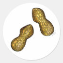 Recherche de noyer autocollants Arachide