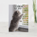 Recherche de kit vœux cartes Chat