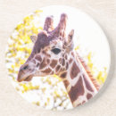 Recherche de girafes dessous de verres Faune