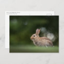 Recherche de frohe cartes postales Osterhase