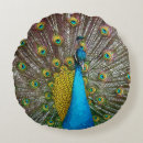 Recherche de paon bleu coussins Sarcelle d'hiver