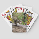 Recherche de écureuil jeux de cartes Rongeur