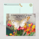 Recherche de citation papillon cartes postales Citer