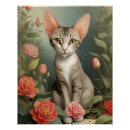 Recherche de races de chat posters Pour tous