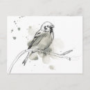 Zoek naar birds briefkaarten Vleugels