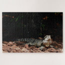 Recherche de lézard photographie Photographie de nature