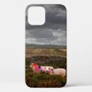 Recherche de moutons iphone coques Animaux